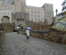 image008
