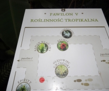 SAM_1217