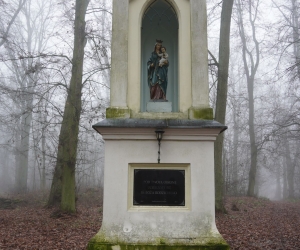 image002
