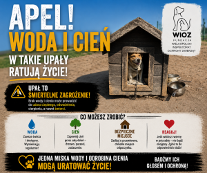 UPAŁY - ZWIERZĘTA 